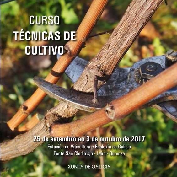 Curso Técnicas de cultivo