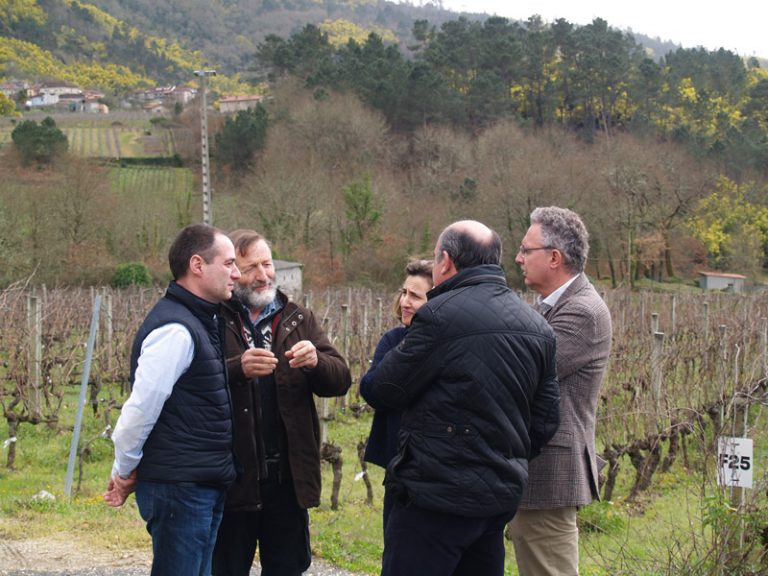 A EVEGA organizará en xuño o “I Encontro de Viticultura Galicia-Norte de Portugal” para impulsar este sector dende a Eurorrexión