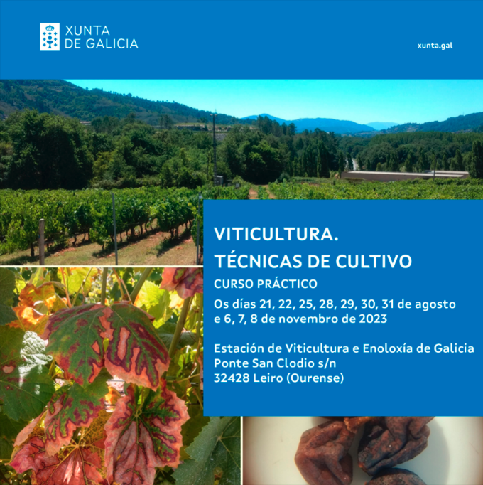 CURSO DE FORMACIÓN: VITICULTURA. TÉCNICAS DE CULTIVO