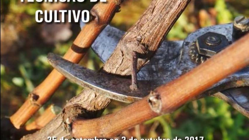 Curso Técnicas de cultivo