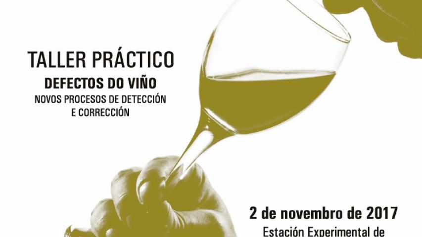 TALLER PRÁCTICO: DEFECTOS DO VIÑO. Novos procesos de detección e corrección