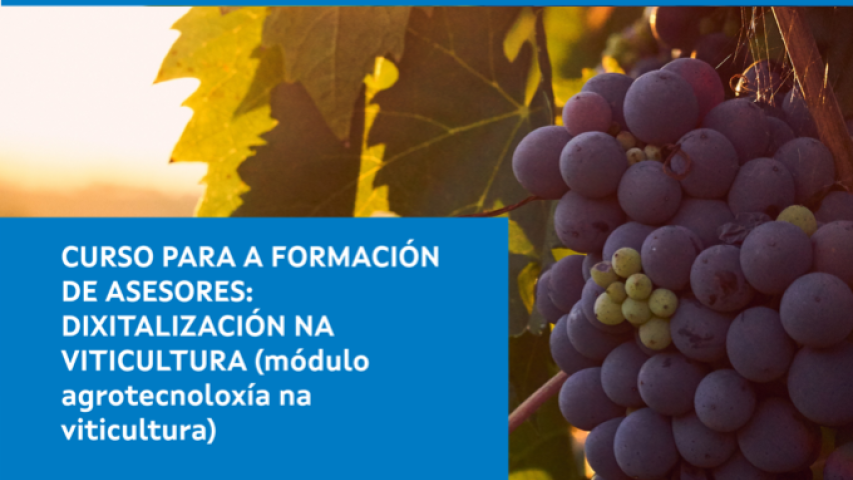 A DIXITALIZACIÓN NA VITICULTURA