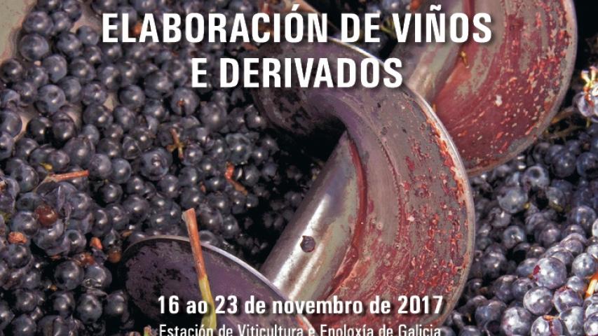 CURSO DE FORMACIÓN: Elaboración de viños e derivados