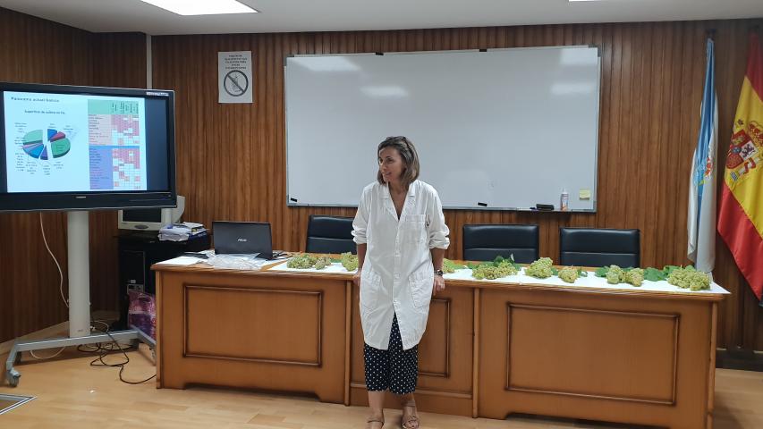 A EVEGA FORMA AOS INSPECTORES DE RIBEIRO E MONTERREI PARA GARANTIR A ORIXE, VARIEDADE E CALIDE DA UVA NA VENDIMA