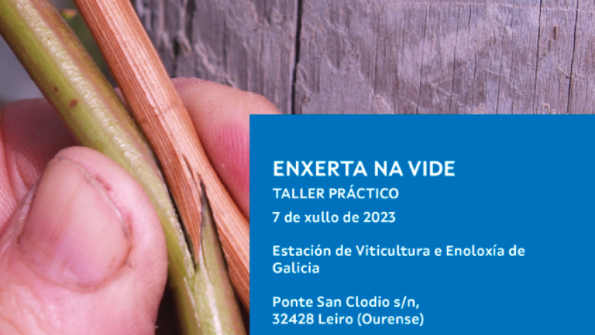 ENXERTA NA VIDE ENXERTA NA VIDE