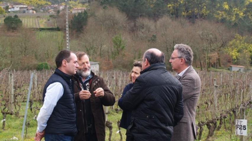 A EVEGA organizará en xuño o “I Encontro de Viticultura Galicia-Norte de Portugal” para impulsar este sector dende a Eurorrexión