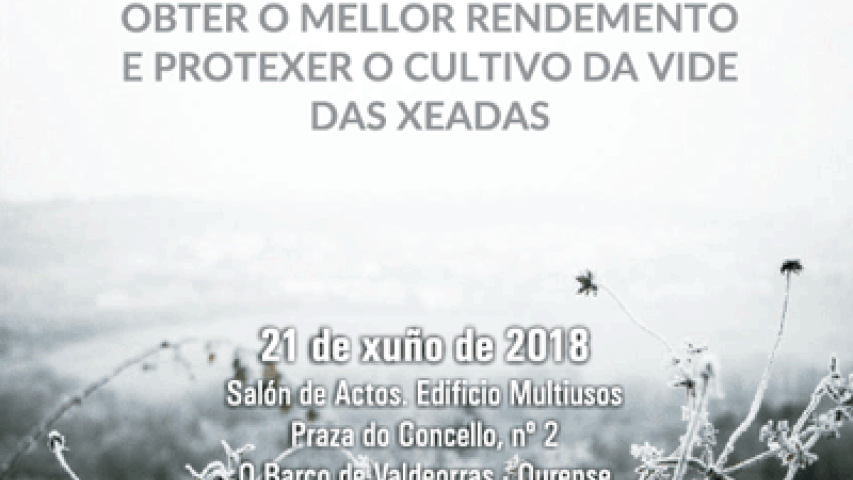 XORNADAS TÉCNICAS – Obter o mellor rendemento e protexer o cultivo da vide das xeadas