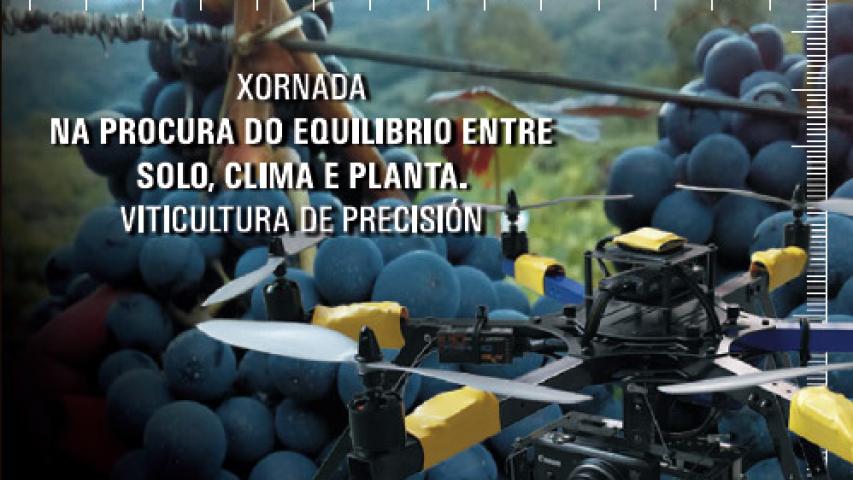 NA PROCURA DO EQUILIBRIO ENTRE SOLO, CLIMA E PLANTA. VITICULTURA DE PRECISIÓN.