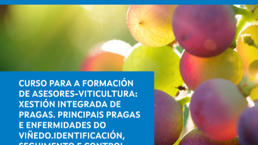 XESTIÓN INTEGRADA DE PRAGAS NA VITICULTURA